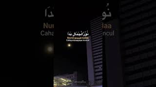 Download lagu status wa ya asyiqol Mustofa mp3