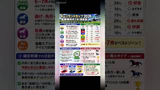 キーンランドカップ　データ分析　馬券傾向 #競馬予想 #中央競馬予想 #競馬 #horse #馬券