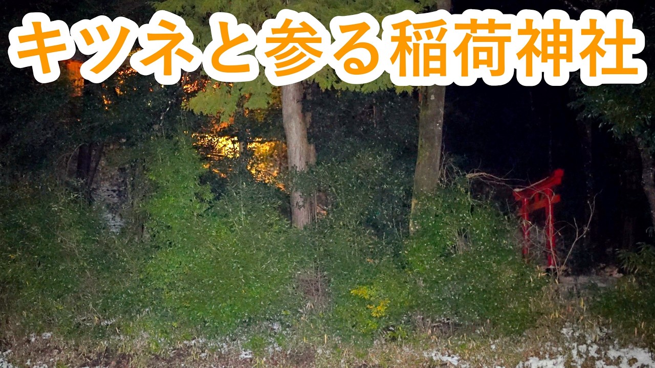 キツネに導かれた先は稲荷神社でした