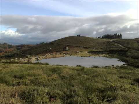 pedro moreira e maria do sameiro