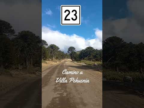 RP23 - Camino a Villa Pehuenia