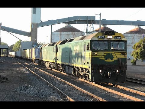 G520-539-BL30 on 7901V at Dunolly.  08-03-25.