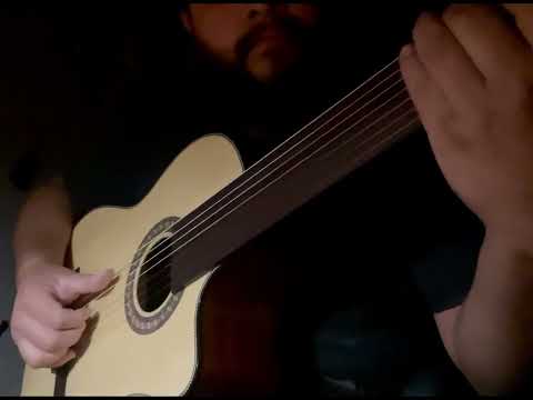 Agile Renaissance 6 String Fretless 625 Classical EQ CUT TigerE Classical Acoustic / Electric Guitar image 7