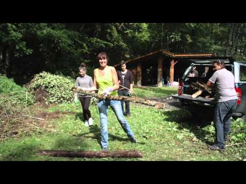 Construction d'un canapé forestier à Saint-Imier