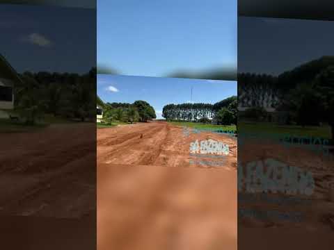 vendo 3.100 hectares em vera Mato grosso MT