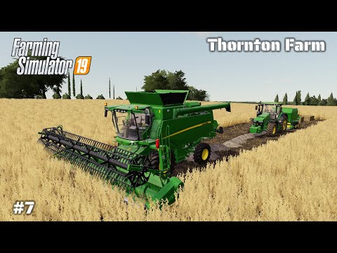 Harvesting Bean, Making Hay, Straw Bales - Thornton Farm - #7 Farming Simulator 19 Timelapse Series