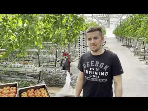 Baranjsko voće i povrće obitelji Filakov