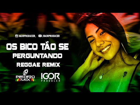 REGGAE FUNK REMIX 2023 - OS BICO TÃO SE PERGUNTANDO - MC PH @igorproducer & @djpedromixofc
