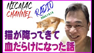 ニックマックラジオ　ネコが降ってきて血だらけ　2024・10/16