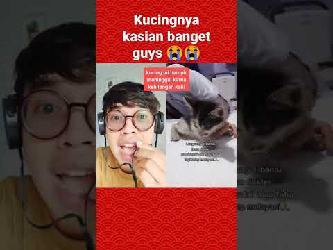 selamat-sore-semua-udah-subscribe-blom-nih-shorts-youtubeshort-videolucu