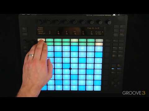 Free Download Ableton Push Explained TUTORiAL-SYNTHiC4TE