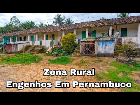 Zona Rural De Rio Formoso Barreiros E Tamandaré Em Pernambuco Engenhos 
