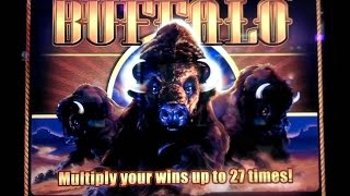 preview picture of video 'Wonder 4 Buffalo Slot Machine Bonus'