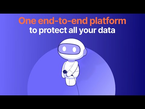 Demo: Concentric AI Sizzle