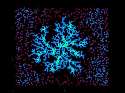 Swarm Intelligence XIII:  Dendrite Crystals