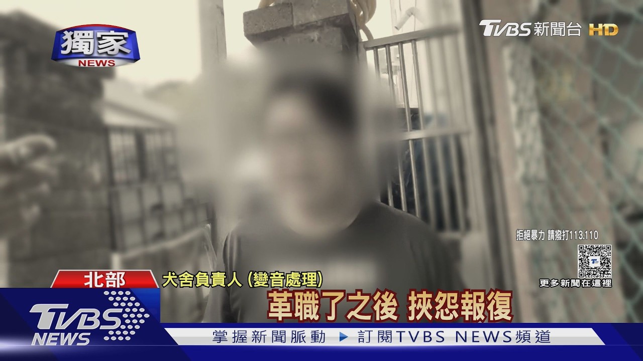 涉虐狗又被爆不當管教小孩!犬舍老闆坦承 社會局開罰