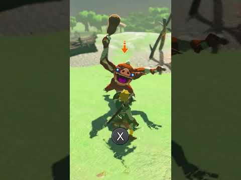 How to FLURRY RUSH in Zelda: Tears of the Kingdom