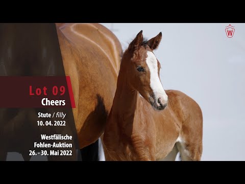 Fohlen-Auktion 26. - 30. Mai Lot 09 Cheers Stute v. Champagner Fizz - Estobar NRW