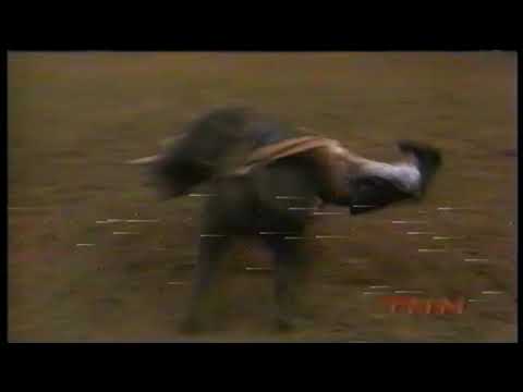 Moody Blues bucks Aaron Semas - 98 PBR Landover