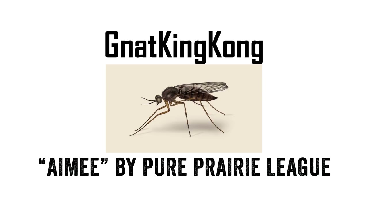 Promotional video thumbnail 2 for Gnat King Kong