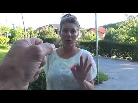 CHIROPRACTIC: Dr.Ante Pavlović - SUSJEDA 2