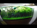Aqua Nova 5in1 akvariumo valymo komplektas