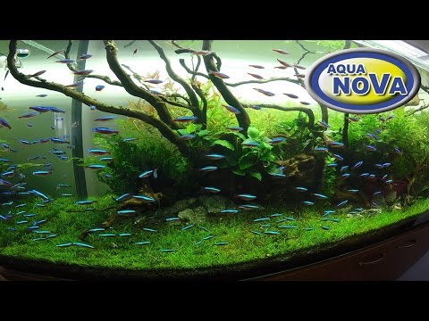 Aqua Nova 5in1 akvariumo valymo komplektas video