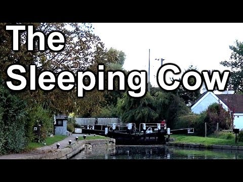 149. Narrowboat cruise from Marsworth to Cowroast