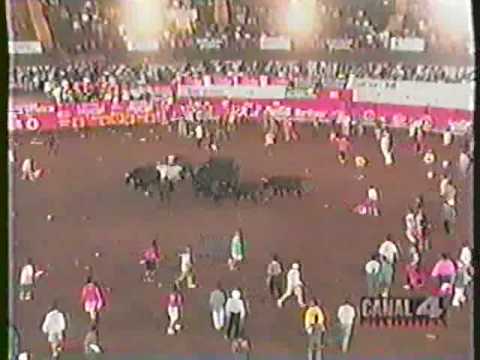 TOROS A LA TICA - POR F E L I L L O 69  N.9