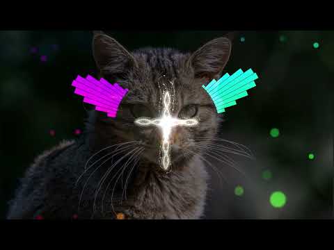 Gui Brazil, Mêdina, Theo Rubia - Pode Morar Aqui - Remix