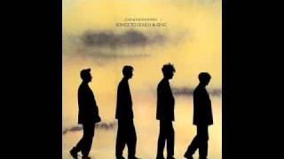 Bedbugs And Ballyhoo- Echo And The Bunnymen