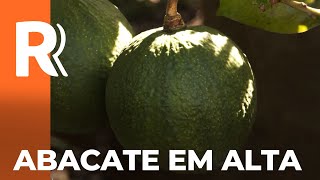 Miniatura do vídeo