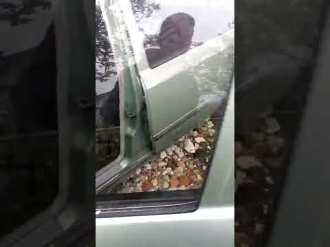 Mercedes-Benz W124 250d