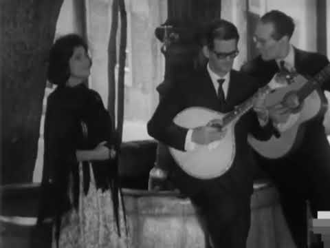 Celeste Rodrigues - O Meu Xaile