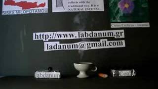 preview picture of video 'The real labdanum from Cistus Creticus  Icanus'