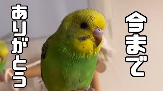 1歳１０ヶ月でした。