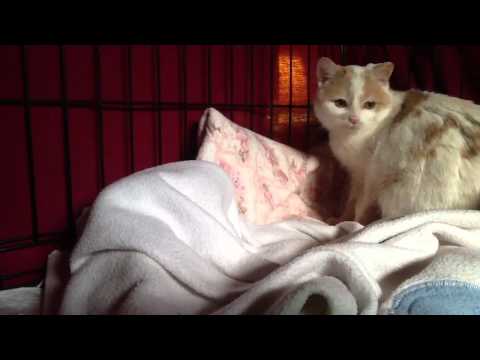 Mary Frances a week later