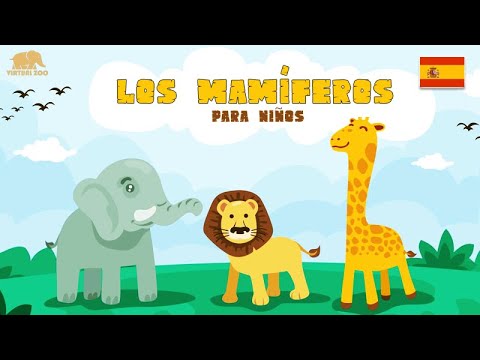Los Mamíferos Para Niños - Videos Educativos para Niños en Español