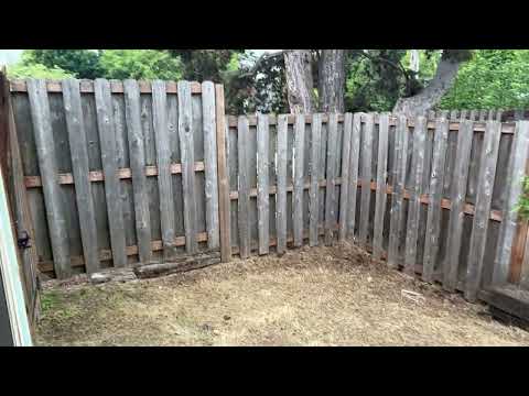 HALPC01 - Video 2 of 2