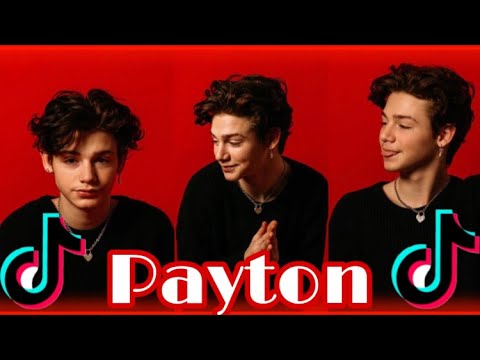 Пейтон язык. Пейтон мурмайер пресс. Преимущества языка питон. Пейтон рой лист. Язык программирования python.