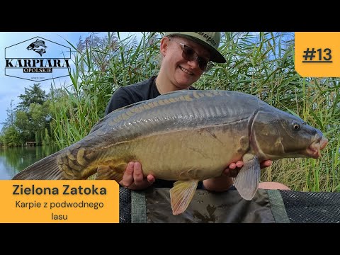#13 Zielona Zatoka - karpie z podwodnego lasu