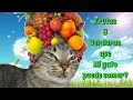 Frutas Y Verduras Que Un Gato Puede y No Puede Comer