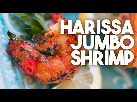 🍤 HARISSA Shrimp | Smothered in a NORTH AFRICAN Chilli Sauce | Kravings