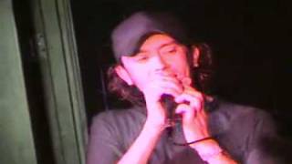 RISE AGAINST- Everchanging(live)