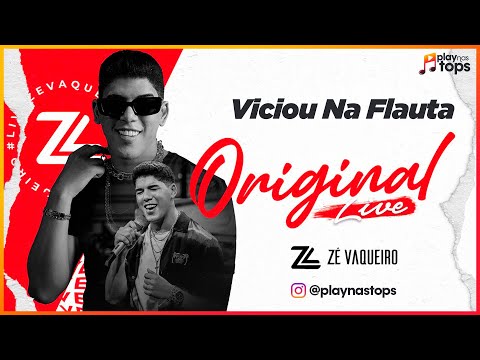 Zé Vaqueiro - Viciou Na Flauta (Original Live) [AUDIO]