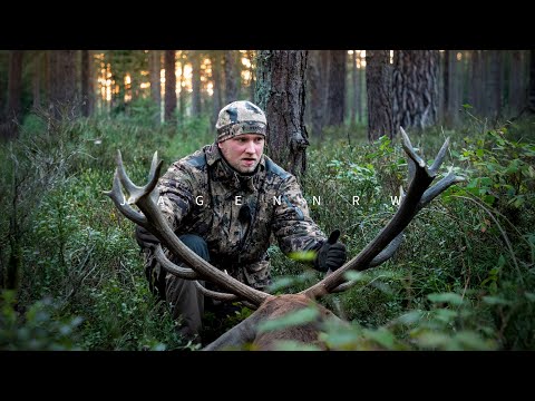 Hirschjagd an der Elbe – Der Kronprinz aus Gartow – Hunt on Demand Free Episode