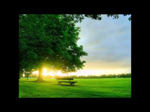Yeni Türkü - Akasya Kokulu Sabahlar