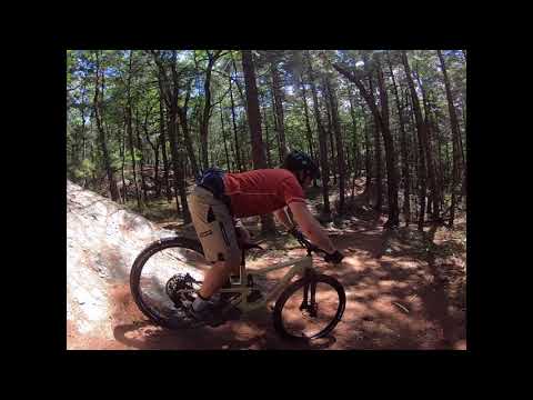 SenKi in Hale Reservation