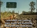 Cane Toads An Unnatural History - Official Lyric Video