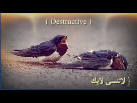 كان العمر ينتهي بسهوله ويمضيولا نعلم متى ينتهي